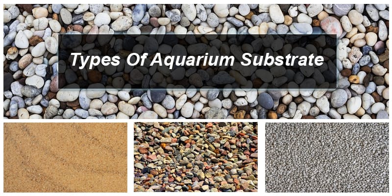 Aquarium Substrate